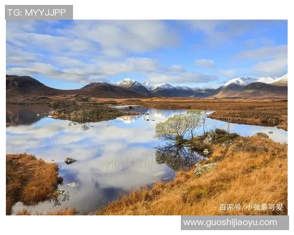 探索埃斯特旺的历史与文化魅力，揭示其独特的地理风貌与人文底蕴
